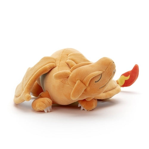 Sleepy Friend: Charizard