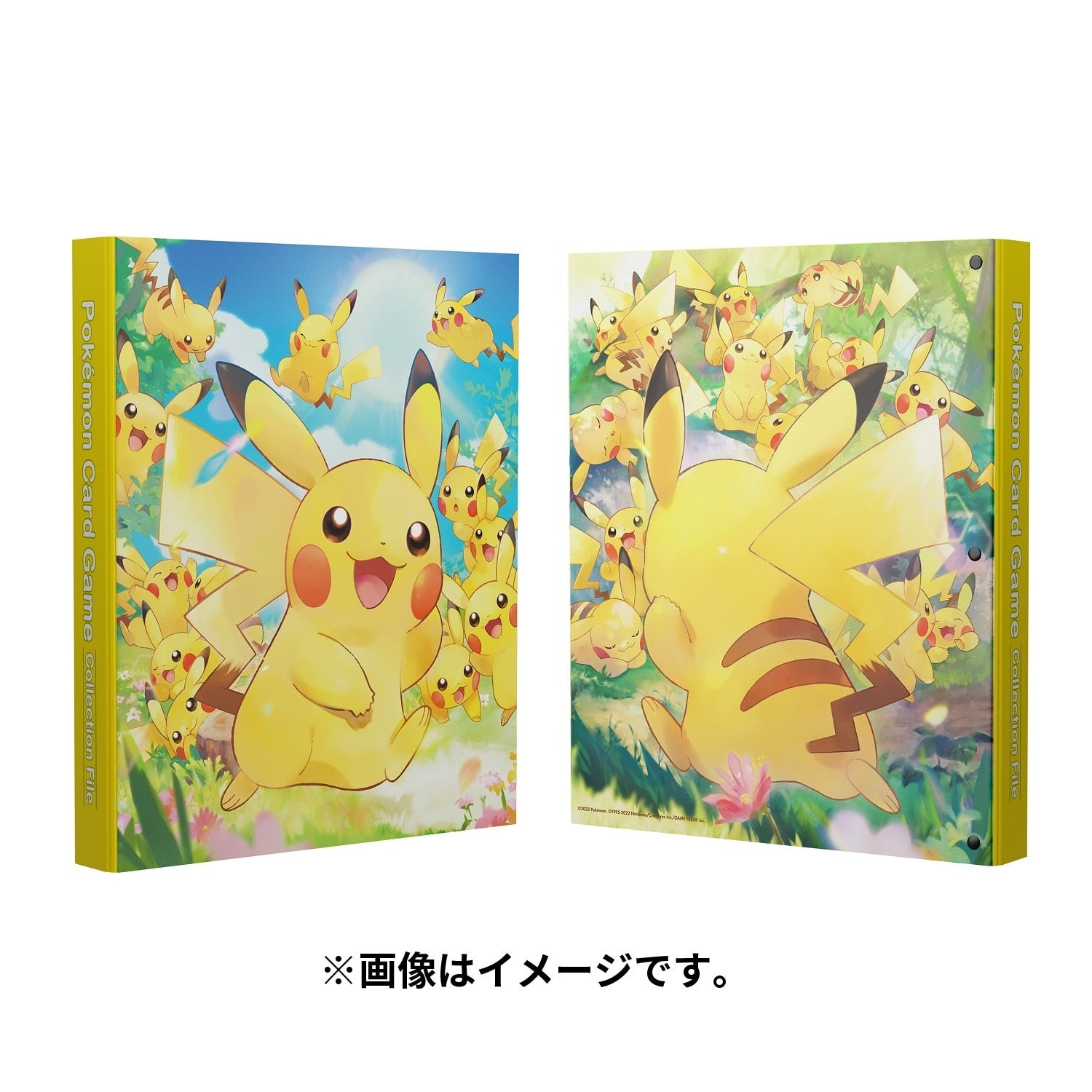 Pikachu Grand Gathering Collection: Card Album